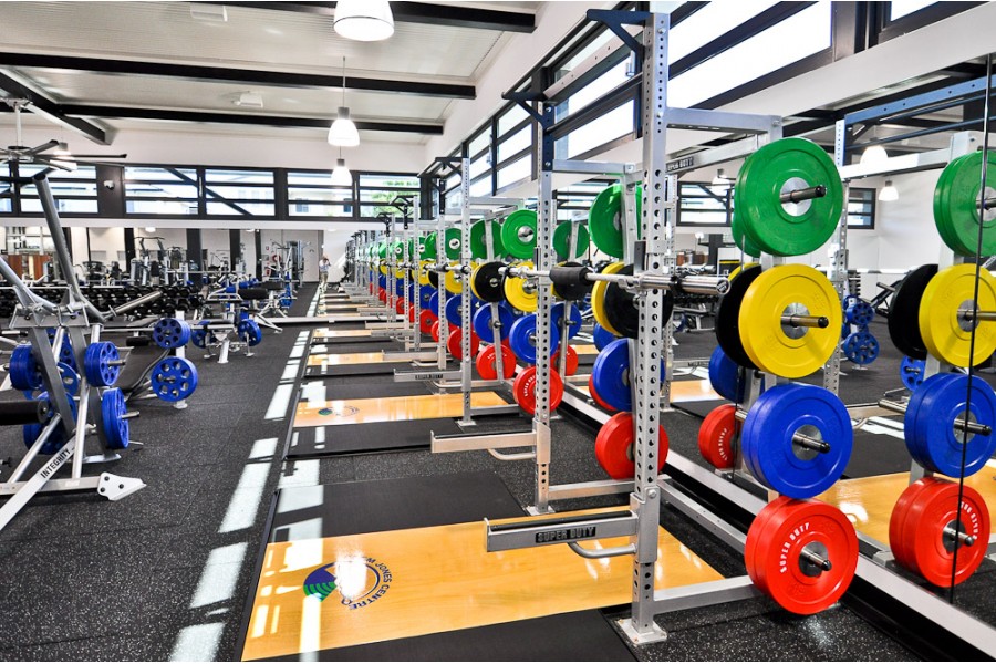 Custom best sale weightlifting platform